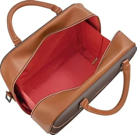 Delsey Chatelet Carry On – First Class Style or Overpriced Misstep?