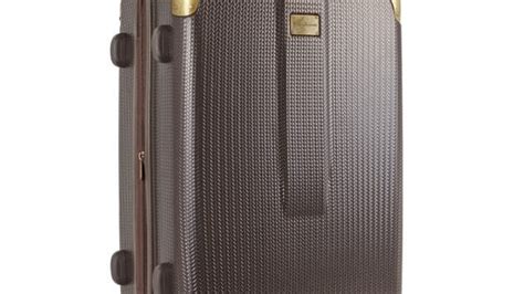 Delsey Air Armour Hardside Spinner Luggage | Frugal Buzz